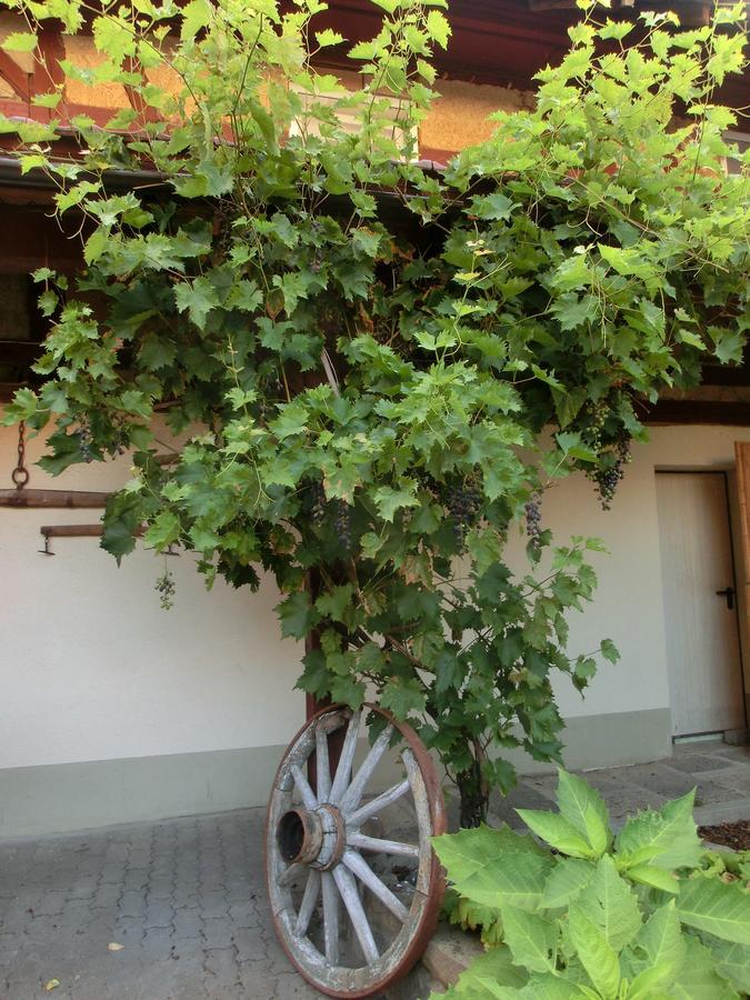 Zehnthof Hotel Geldersheim Екстериор снимка